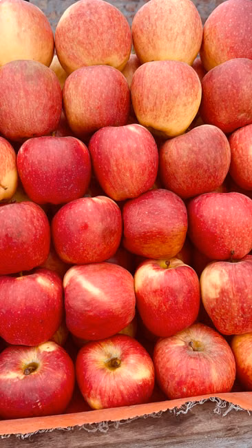 Farinha de Mandioca (1kg)